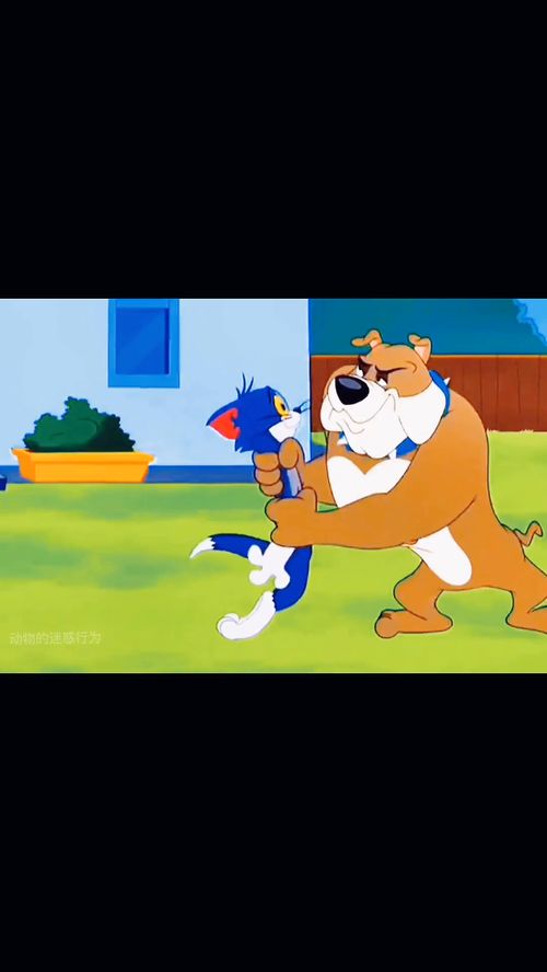 動畫片中的離譜行為 那些匪夷所思的代理代辦名場面